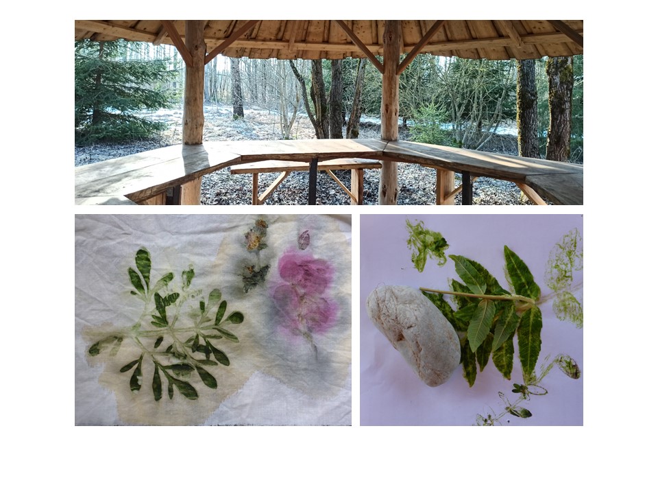 augalinio dažymo mokymai