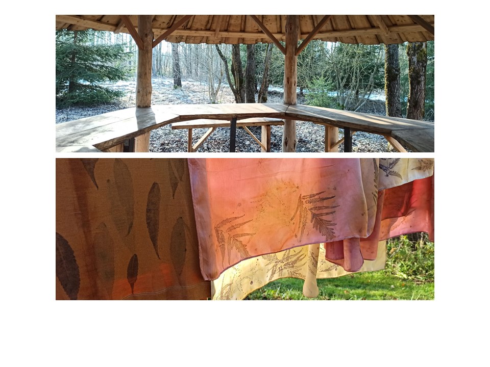 botaninio atspaudo mokymai