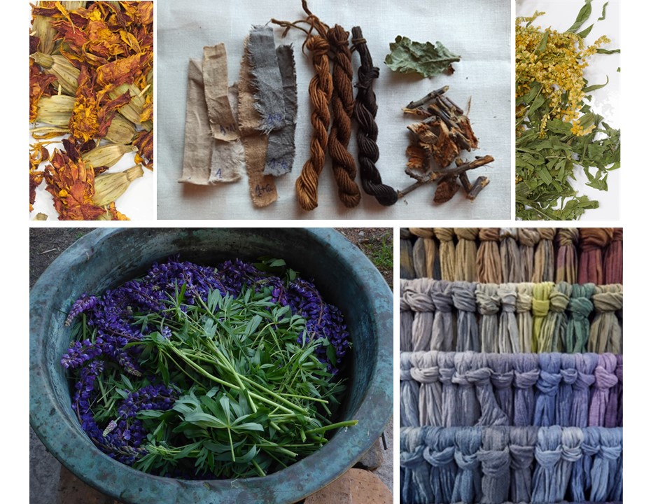 augalinio dažymo mokymai